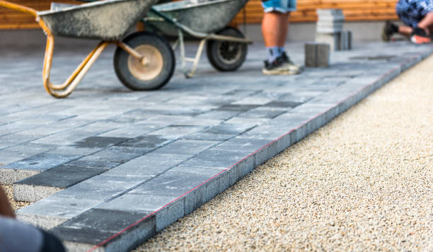 Best Driveway Paving Contractor  in Pingree Grove, IL